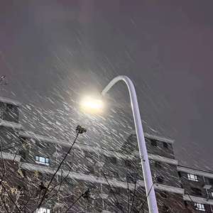 美女肉体黄一色
